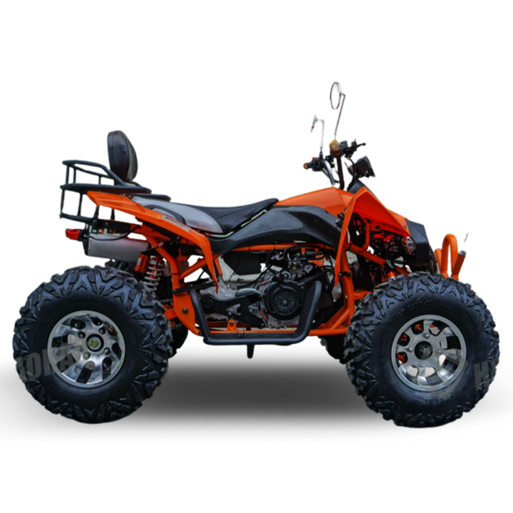 Transmission de chaîne ATV à g - Atv 250Cc 4 Stroke avis et prix