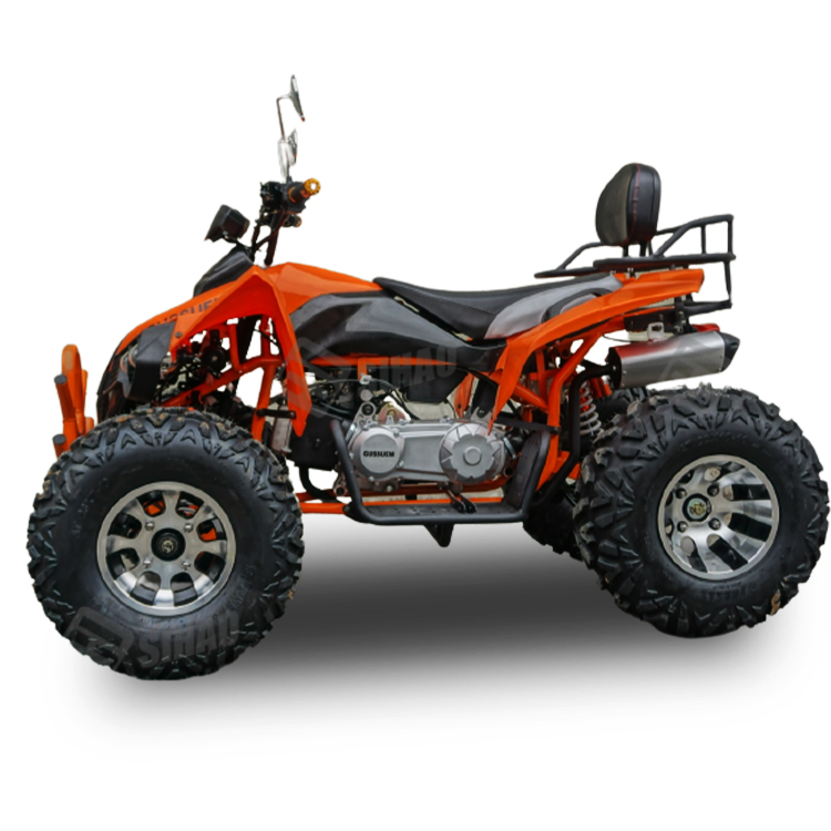 Transmission de chaîne ATV à g - Atv 250Cc 4 Stroke avis et prix