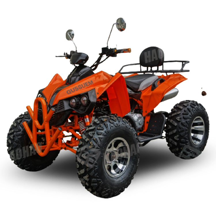 Transmission de chaîne ATV à g - Atv 250Cc 4 Stroke avis et prix