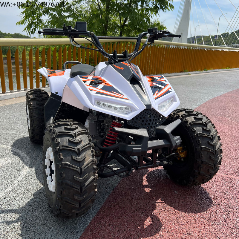 Quad tout-terrain 4 roues 125c - Electric Utv 4 Seater avis et prix