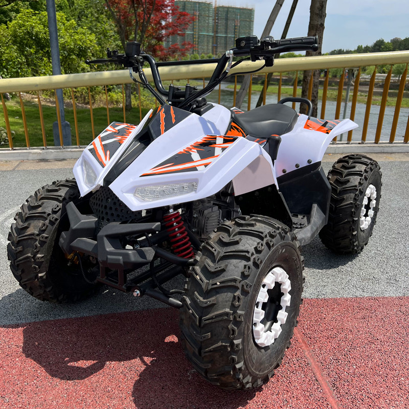Quad tout-terrain 4 roues 125c - Electric Utv 4 Seater avis et prix
