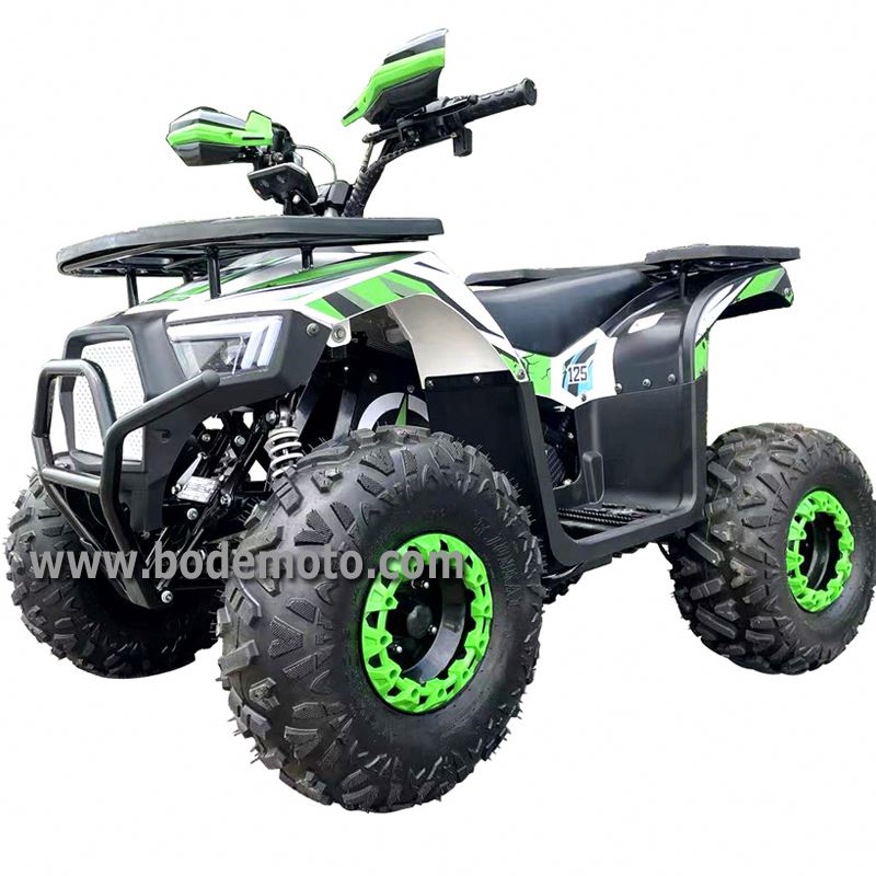 Véhicules électriques d'ATVS d - Electric Quad Bike 2000W avis et prix