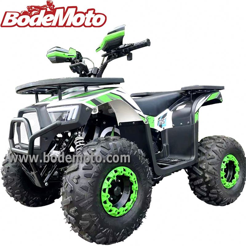 Véhicules électriques d'ATVS d - Electric Quad Bike 2000W avis et prix