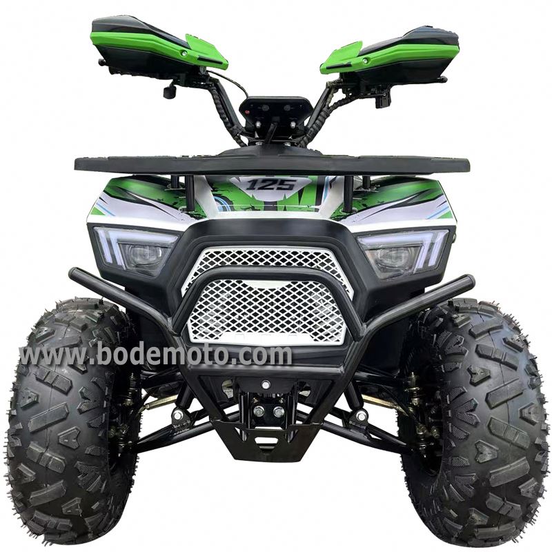 Véhicules électriques d'ATVS d - Electric Quad Bike 2000W avis et prix
