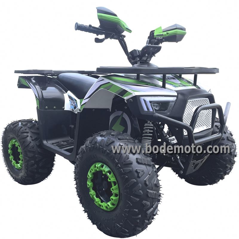 Véhicules électriques d'ATVS d - Electric Quad Bike 2000W avis et prix