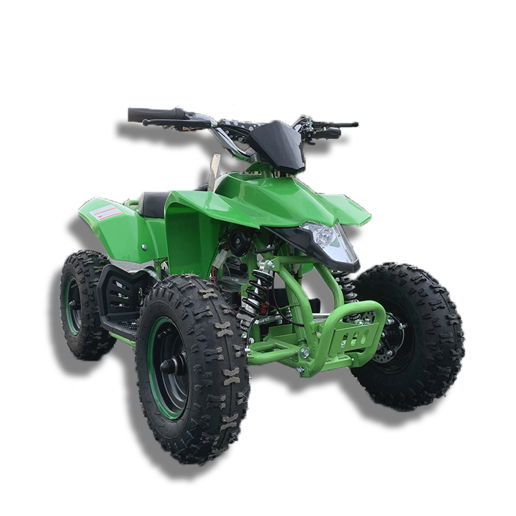Haute qualité hors Raod 4 roue - Electric Atv 4 Wheel 1000W avis et prix