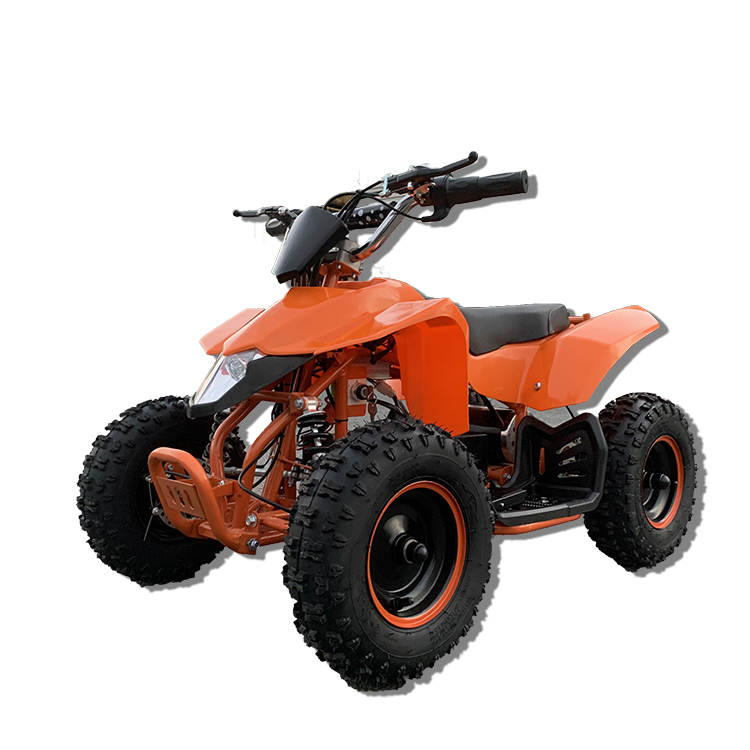 Haute qualité hors Raod 4 roue - Electric Atv 4 Wheel 1000W avis et prix