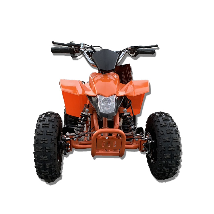 Haute qualité hors Raod 4 roue - Electric Atv 4 Wheel 1000W avis et prix