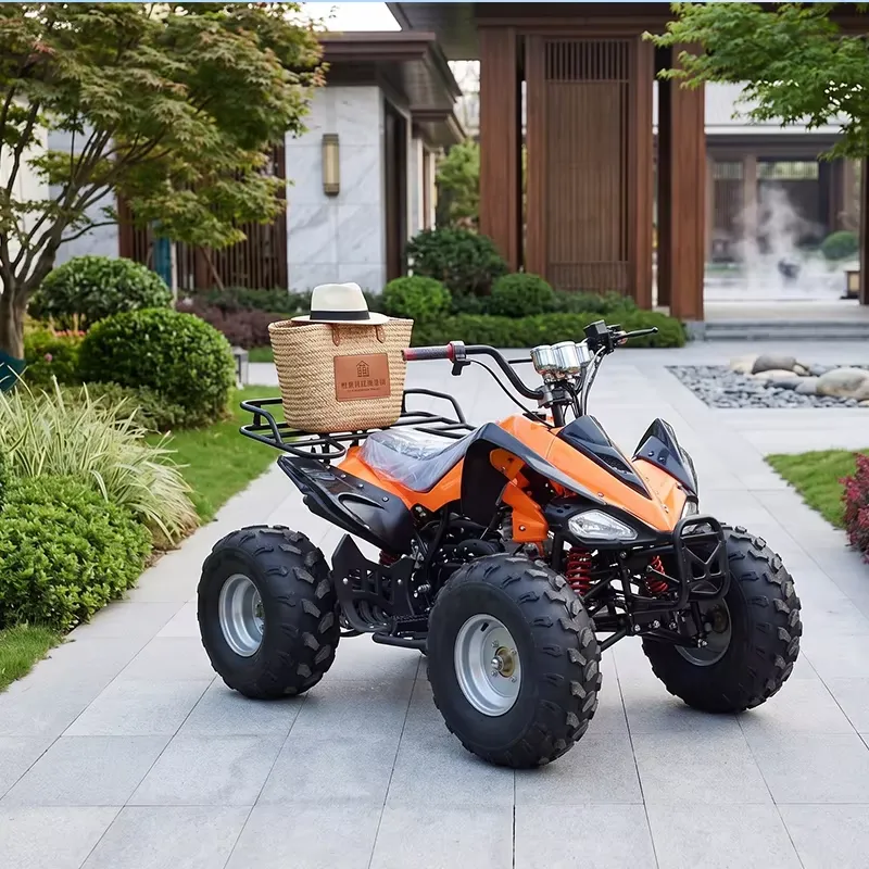 Quad électrique intelligent 12 - Electric Atv Battery 60V 20Ah avis et prix
