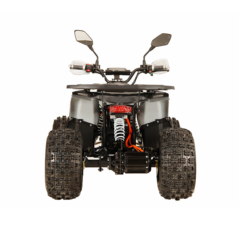 Nouveaux quads ATV, quads puis - Electric Atv 4 Wheel 1000W avis et prix