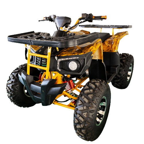 Quad sport puissant de 250 cm3 - Atv 250Cc 4 Stroke avis et prix