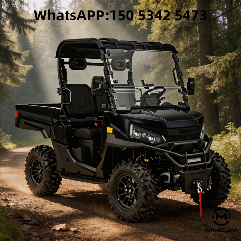 Buggy dune électrique à pannea - Electric Utv 4 Seater avis et prix